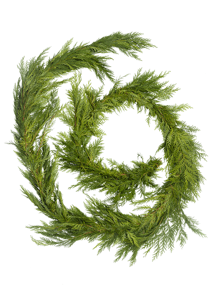 The Cedar Garland plant from Continental Floral Greens